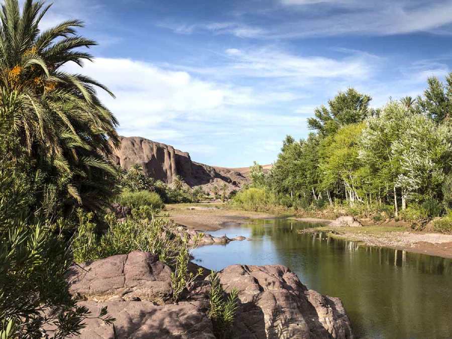 Reserva de la Biosfera en los oasis de Marruecos