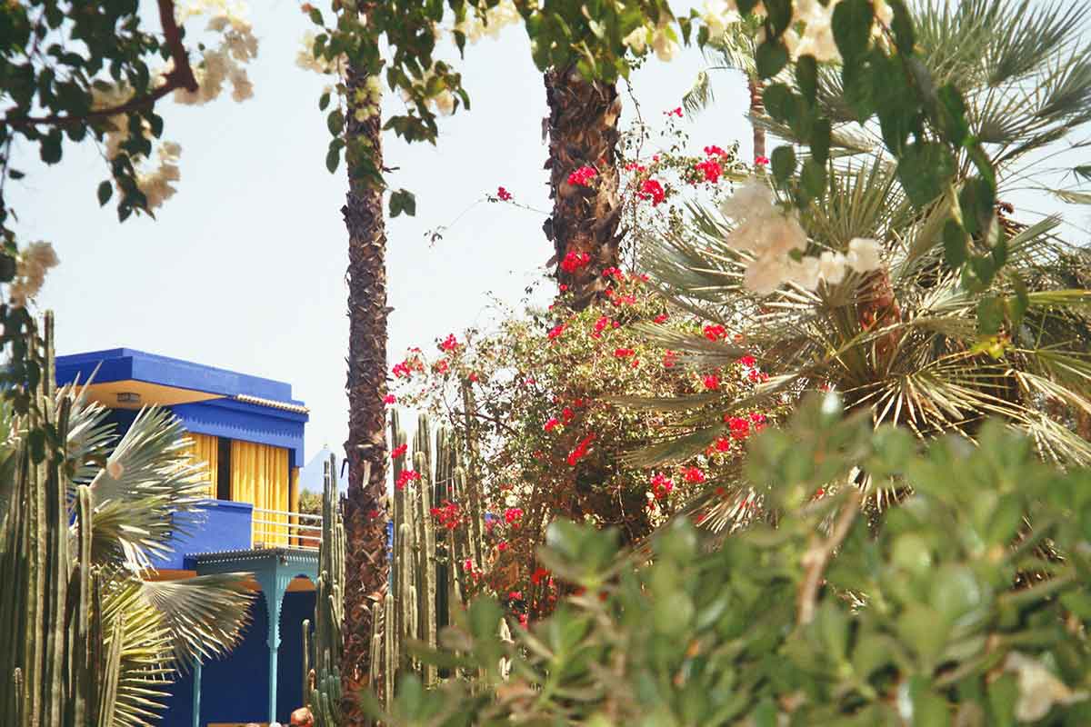 Interior Jardin Majorelle en Marrakech