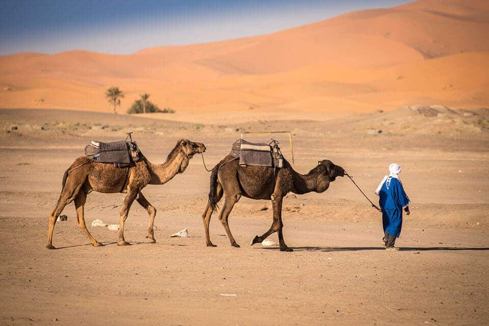 Desierto de Merzouga