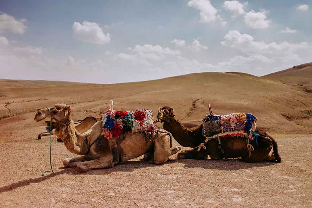 Desierto de Marrakech 4 desierto cerca marrakech agafay