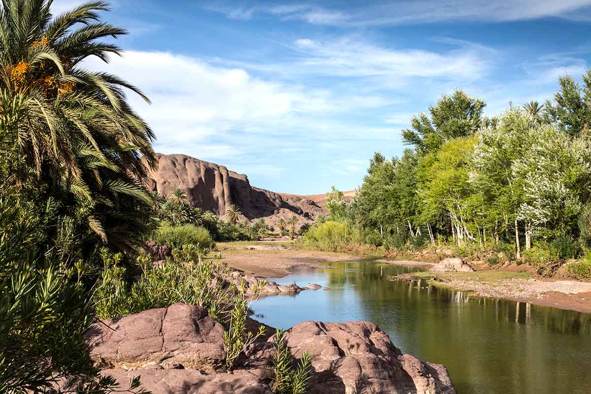 Viajes de Naturaleza por Marruecos