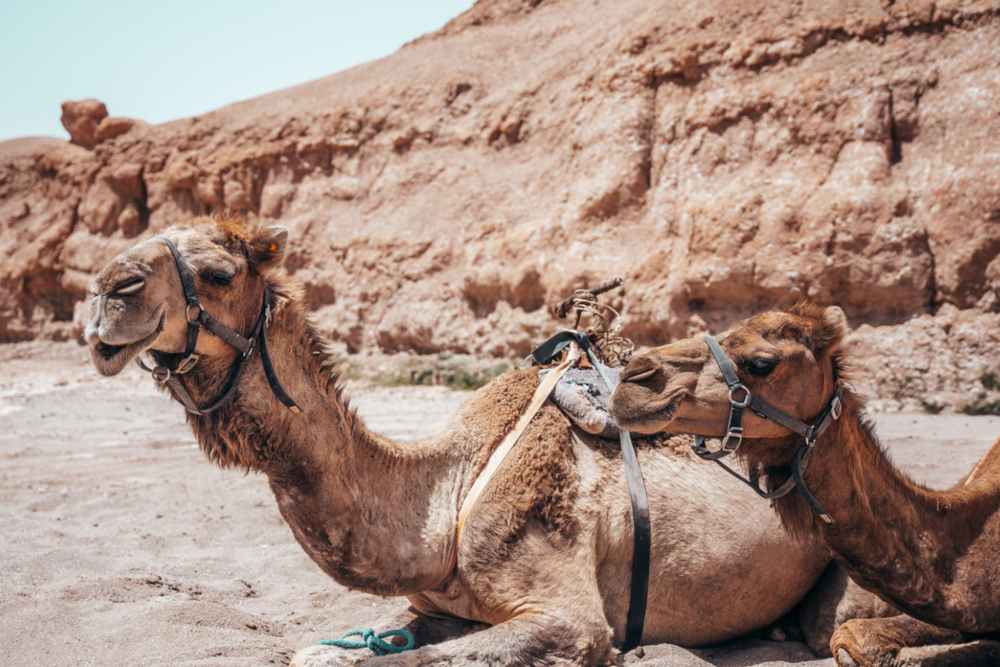 Desierto de Marrakech