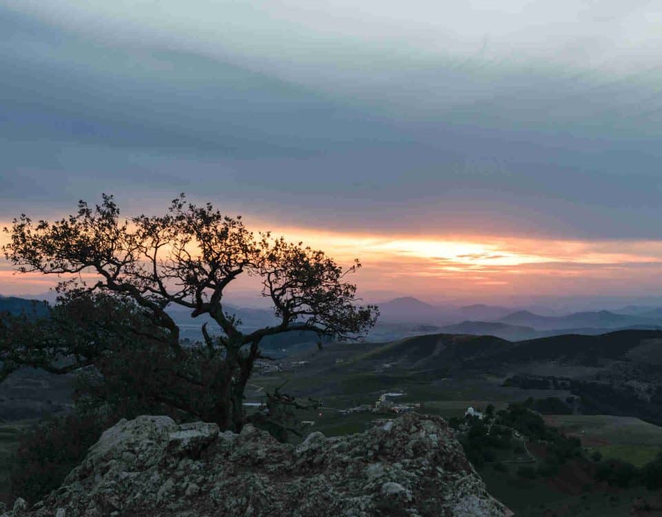 Parque Nacional de Ifrane