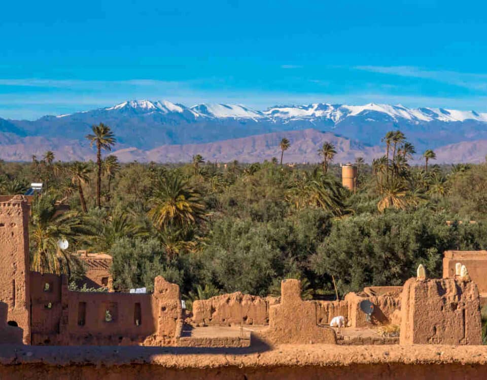 Oasis de las 1000 palmeras