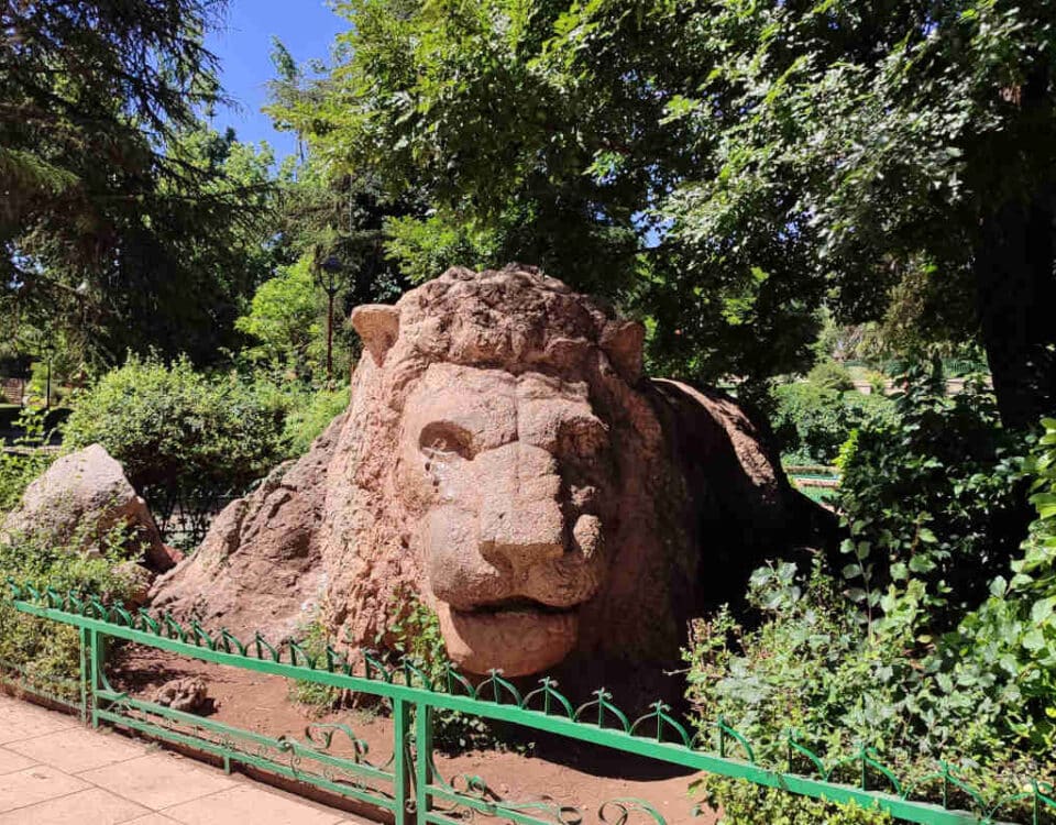 León de Ifrane